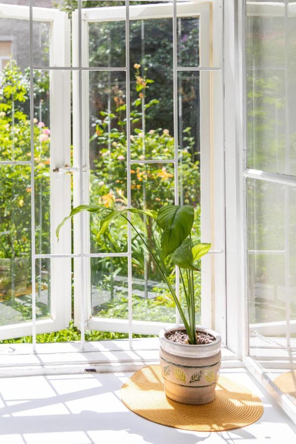 Cozy And Bright 1Bdr Apartment In The City Center! ザグレブ エクステリア 写真